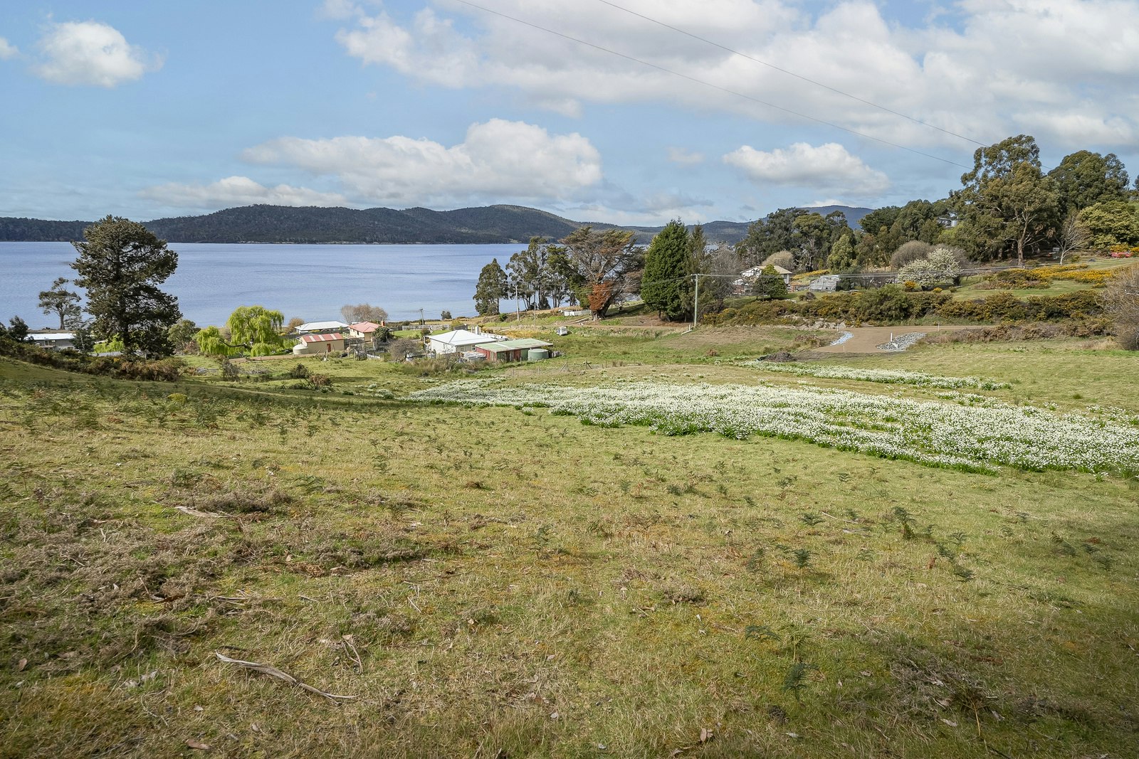 field
