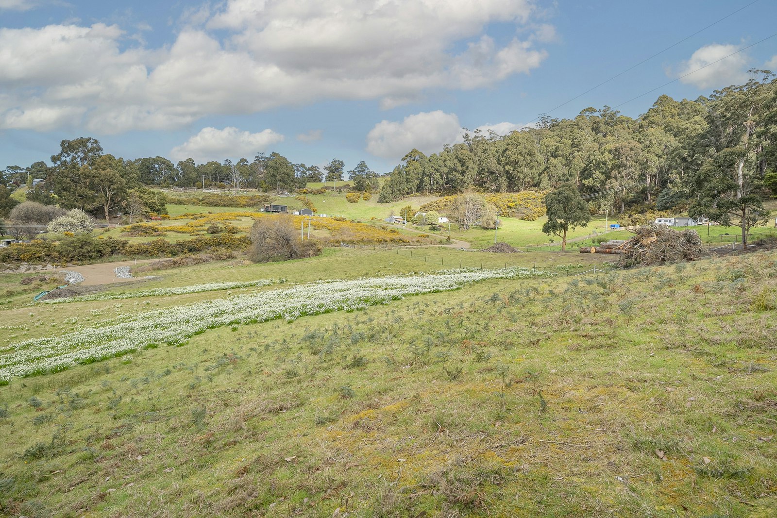countryside