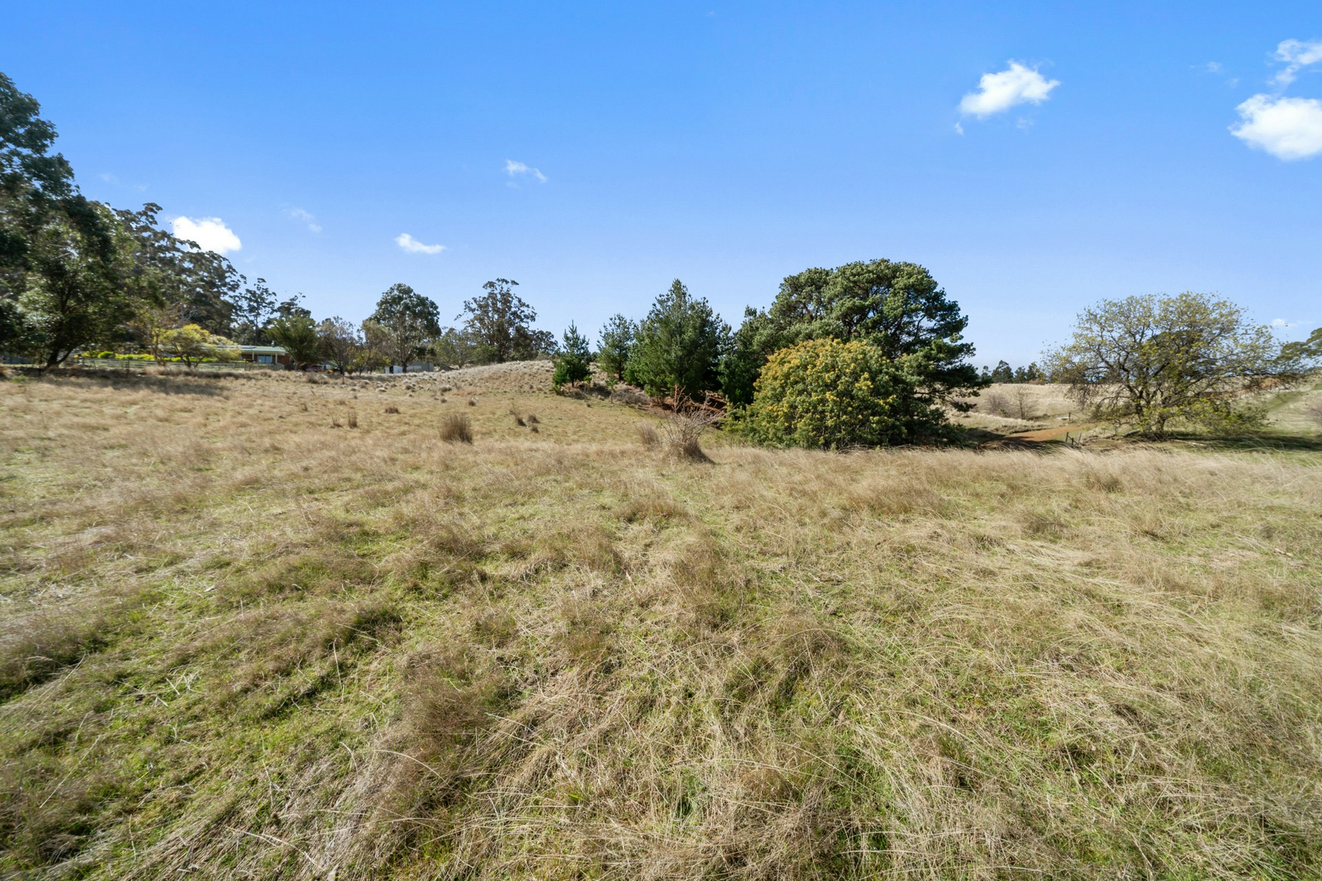 field