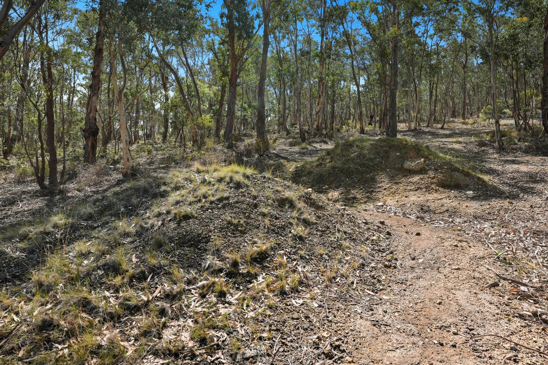 ground