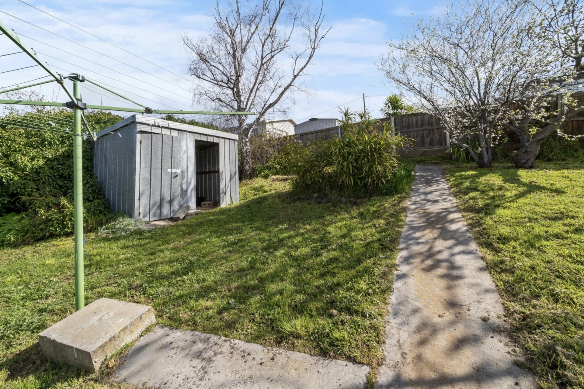 backyard