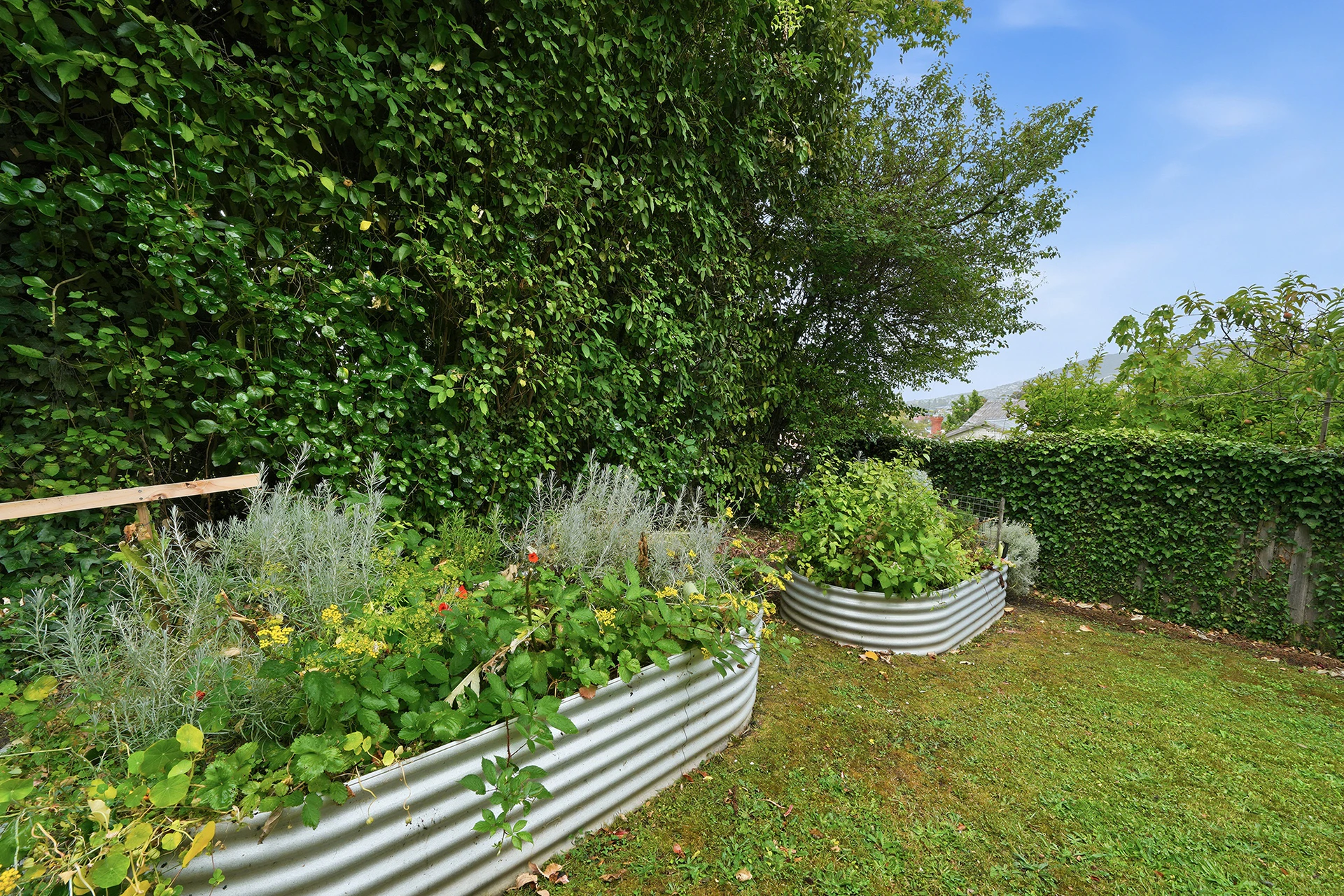 garden