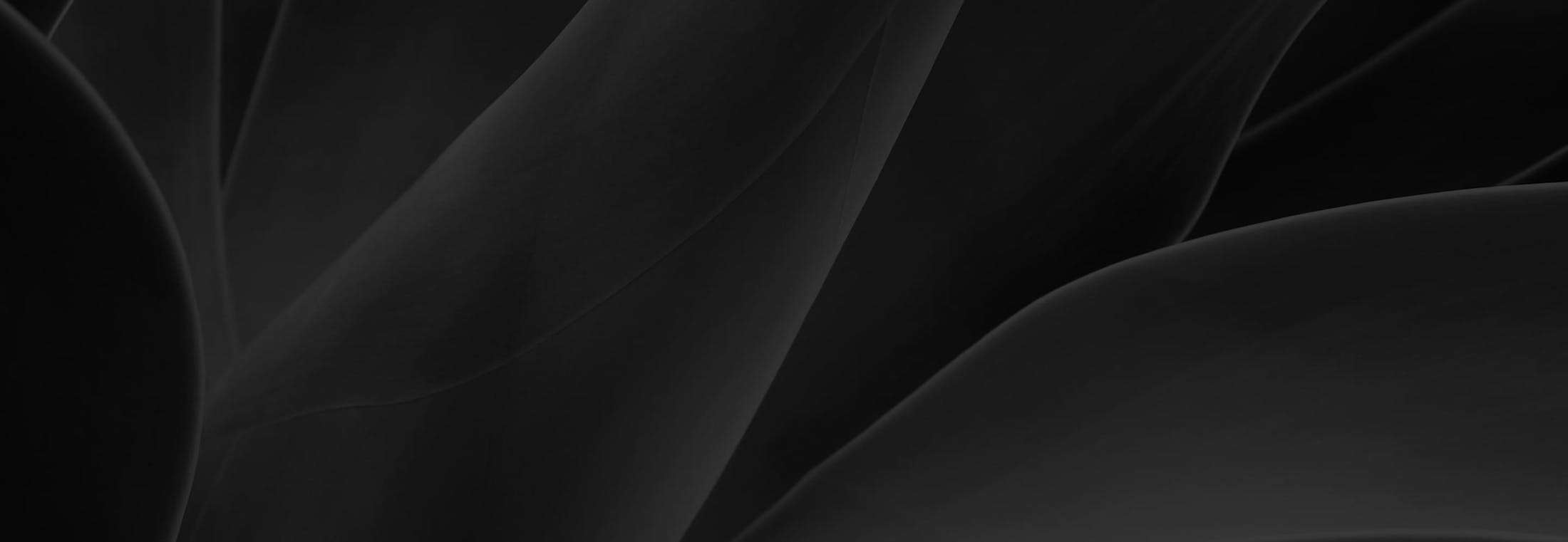 shapes