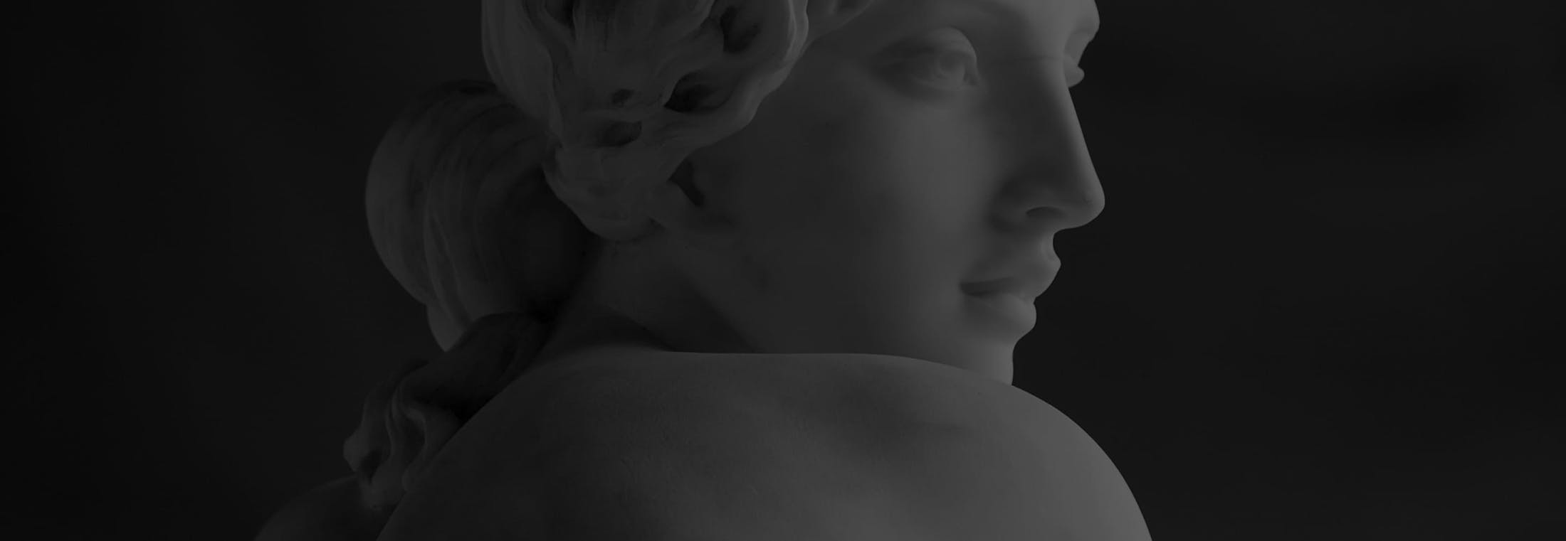 bust