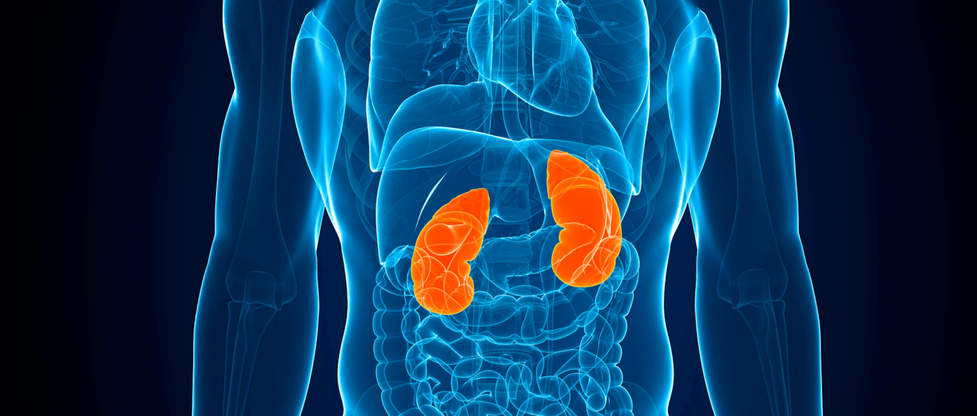 Prognosemodelle Für Den Verlauf Der Nierenleistung