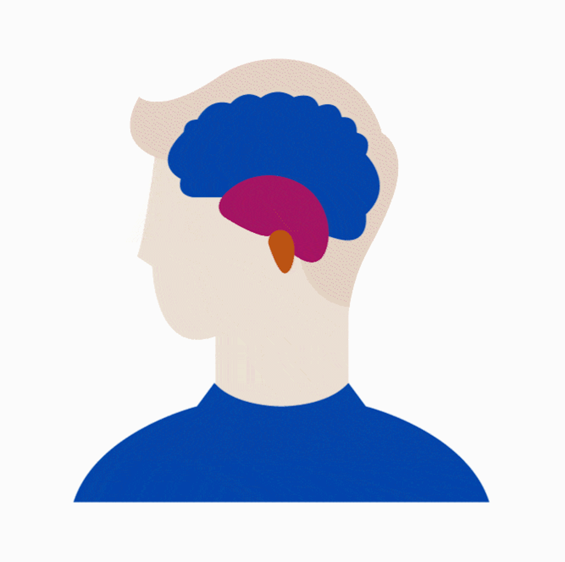 Hwz Ask the Expert Matthias Mattenberger Fakten