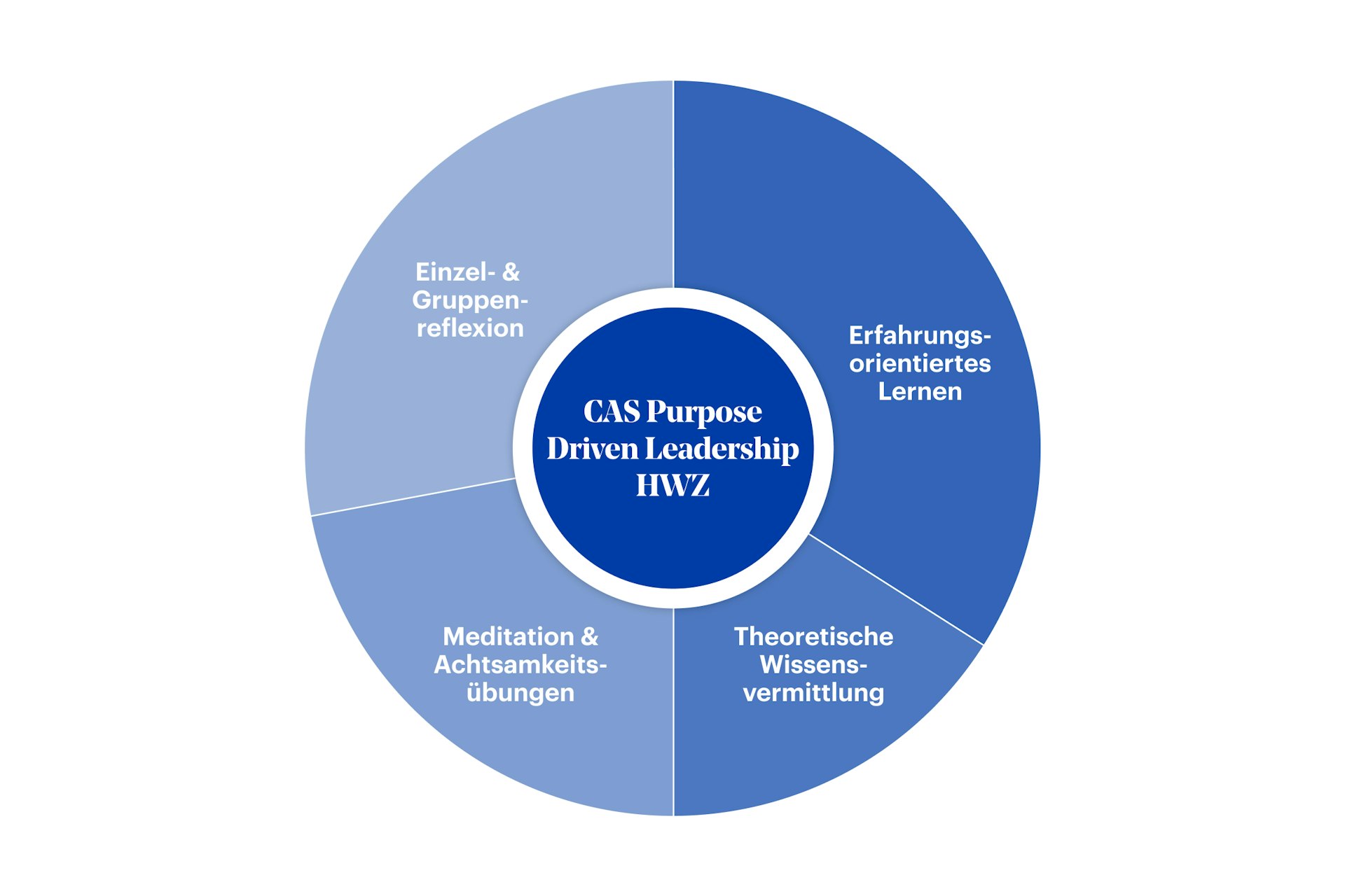 Grafik Inhalt CAS Purpose Driven Leadership HWZ 2025