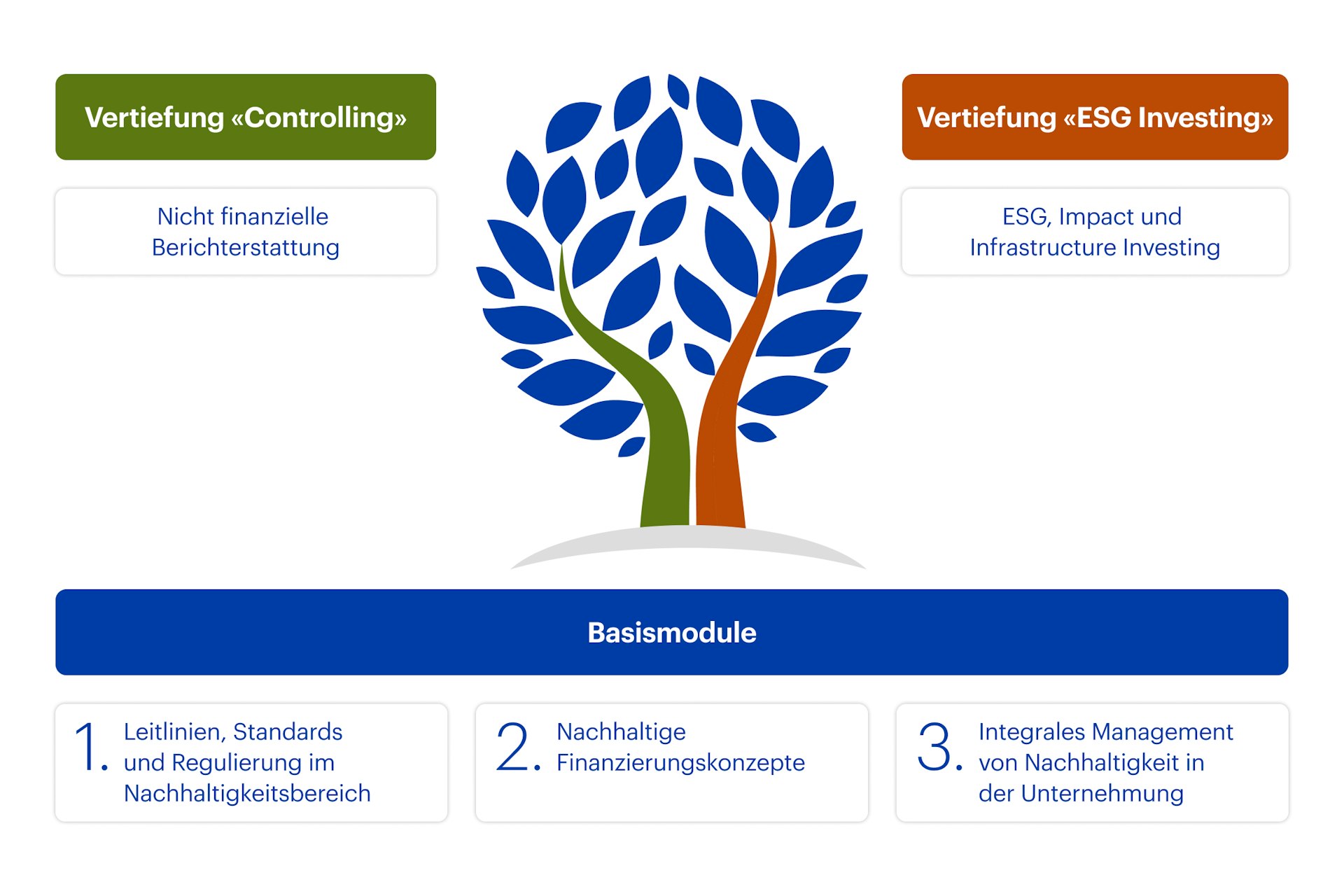 Grafik CAS Sustainable Controlling & ESG Investing HWZ