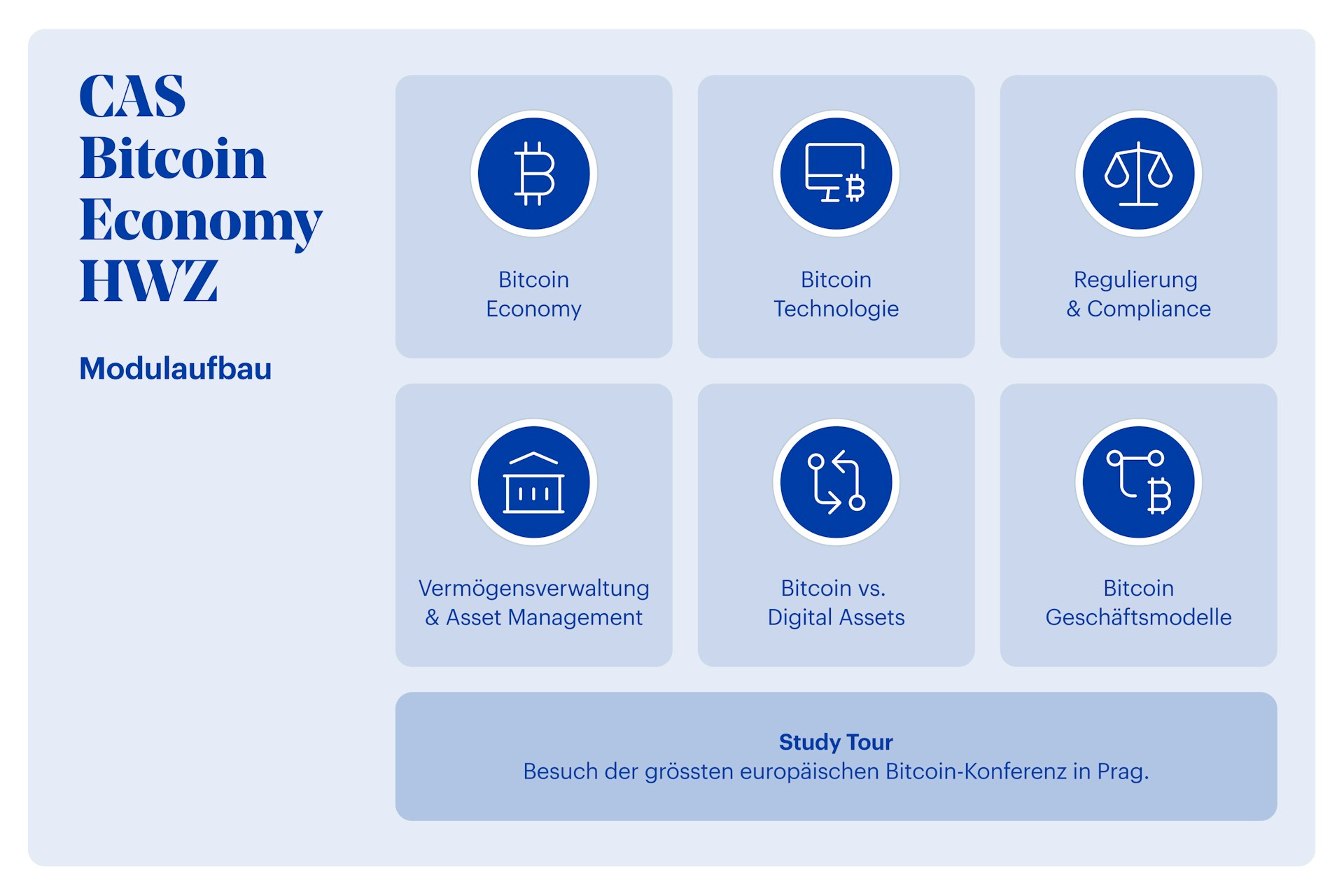 Grafik CAS Bitcoin Economy HWZ