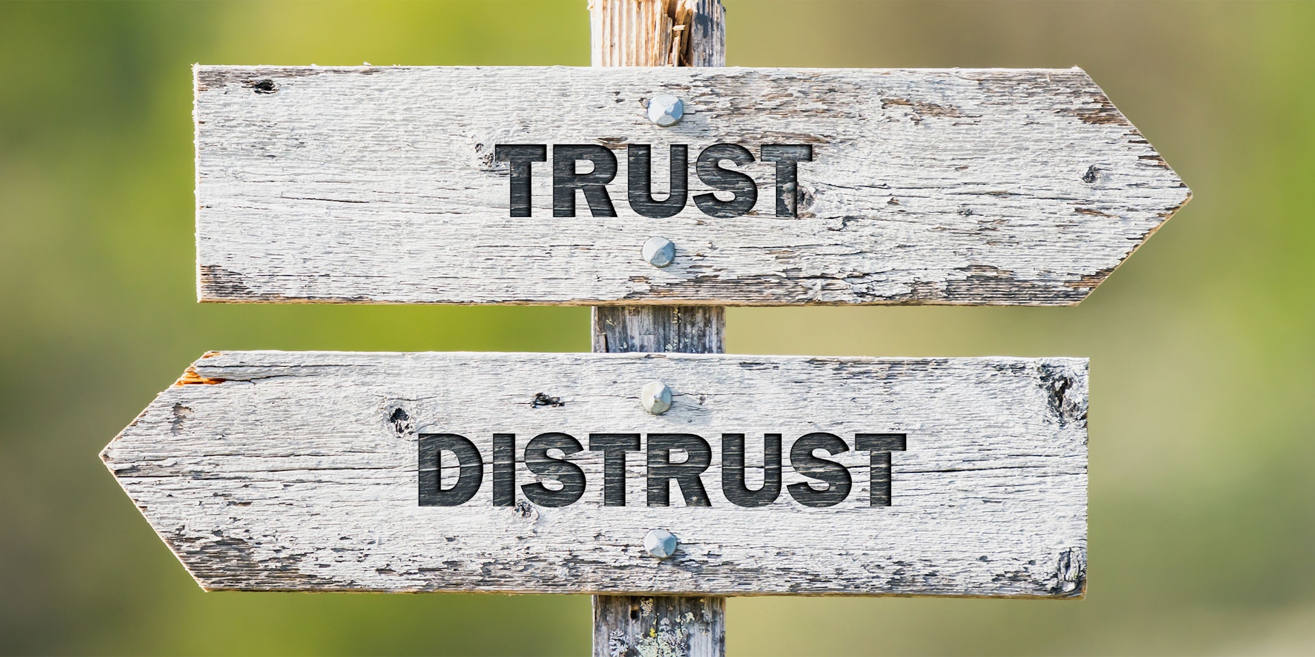 Headerbild Stakeholder Distrust Management