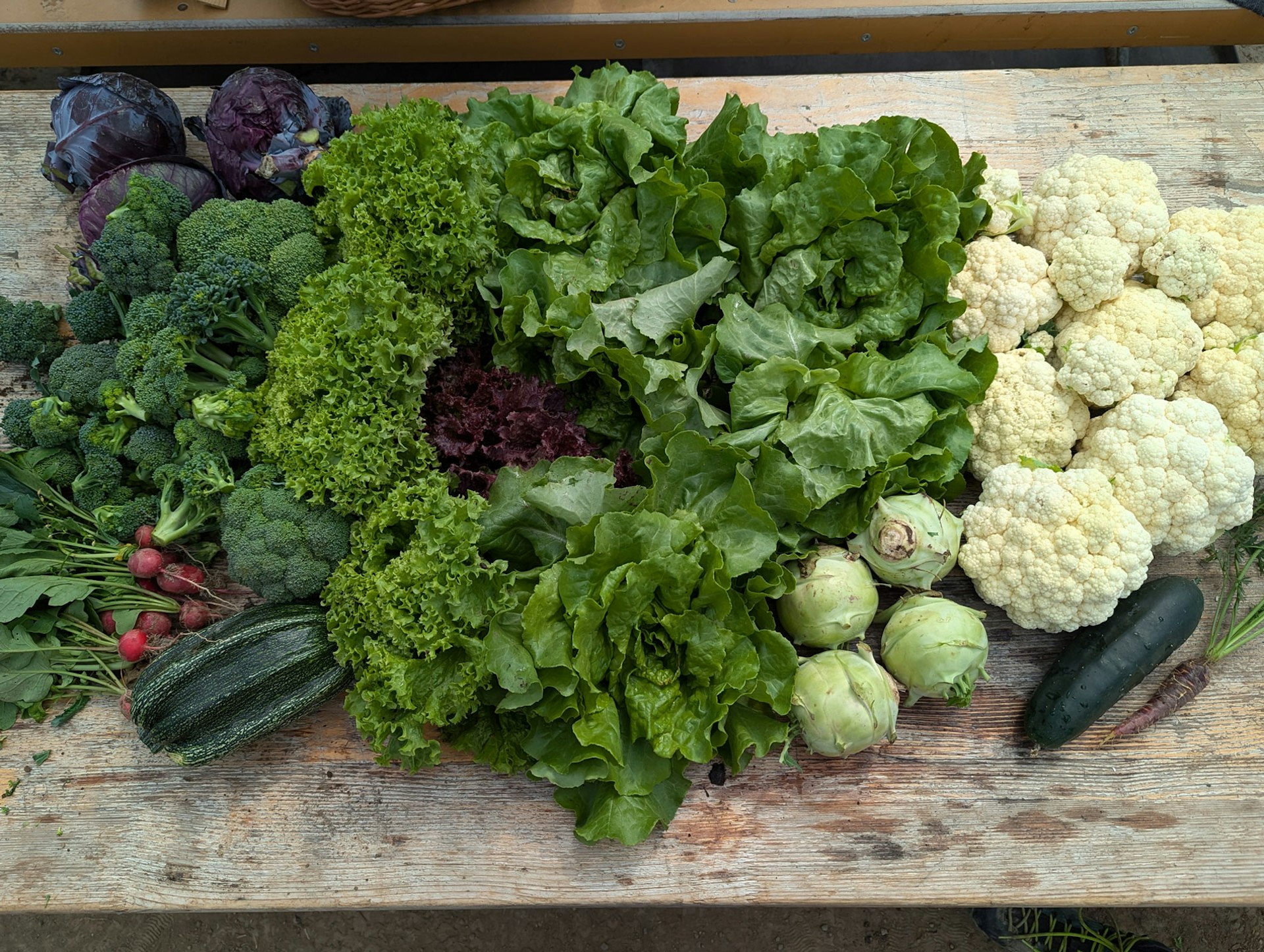 Tanja Fuchs Bäuerinnenschule HWZ 2025