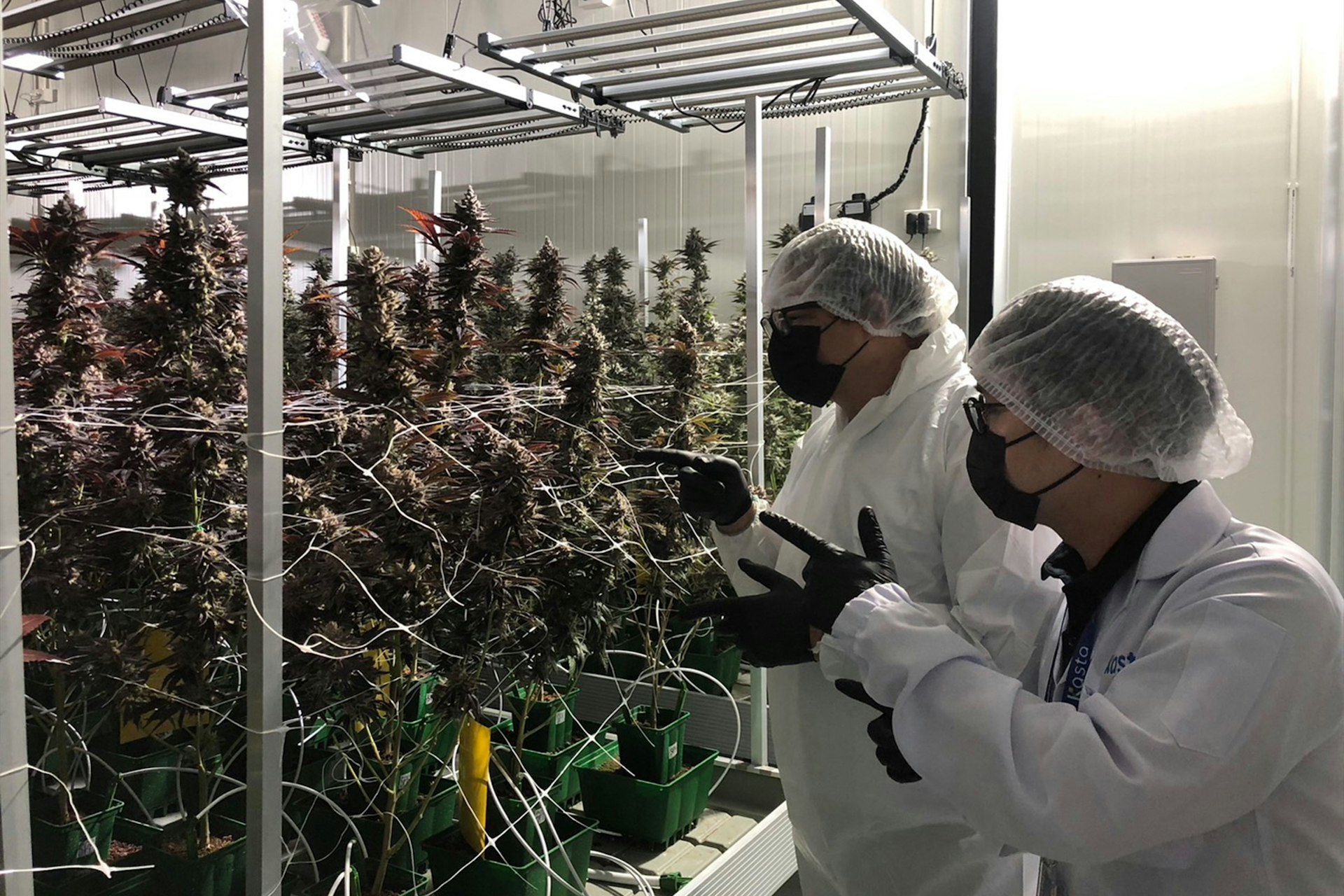 Foto 3 Luc Richner Cannavigia 2025