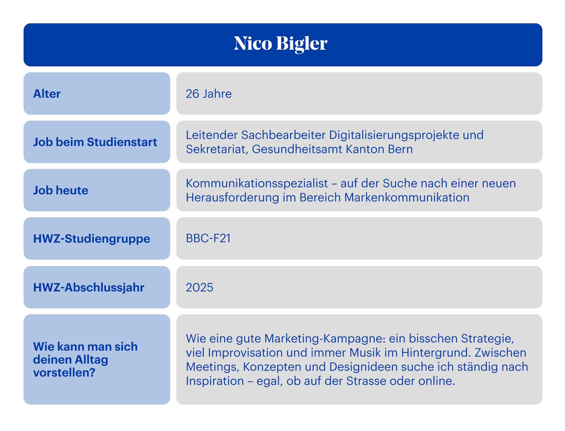 Best of Bachelor Theses Steckbrief Nico Bigler