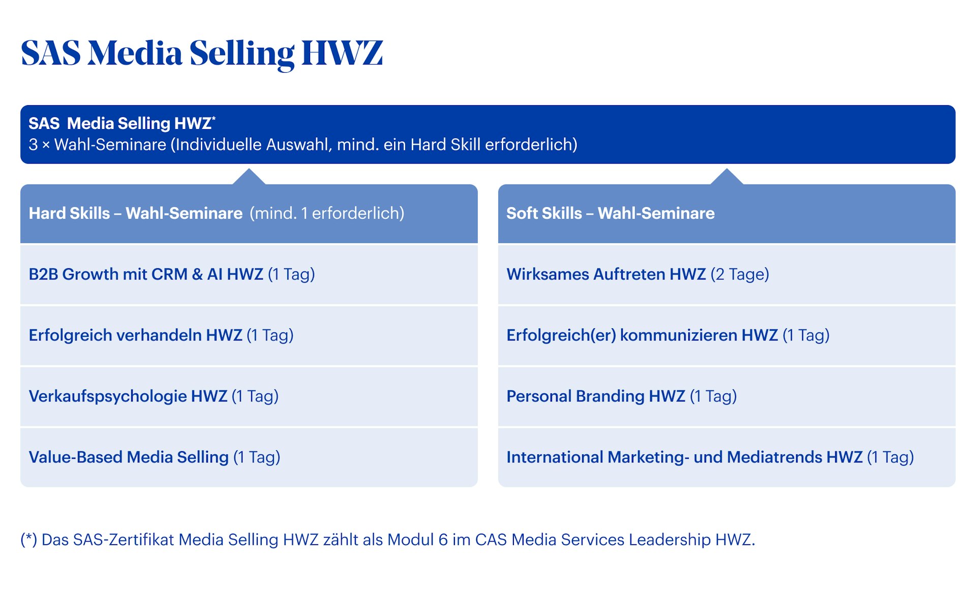 Grafik SAS Media Selling HWZ