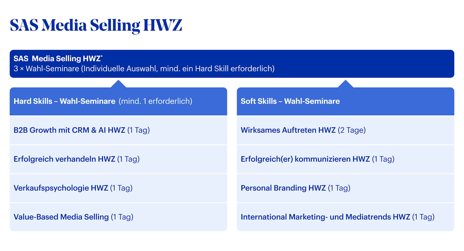 Grafik SAS Media Selling HWZ