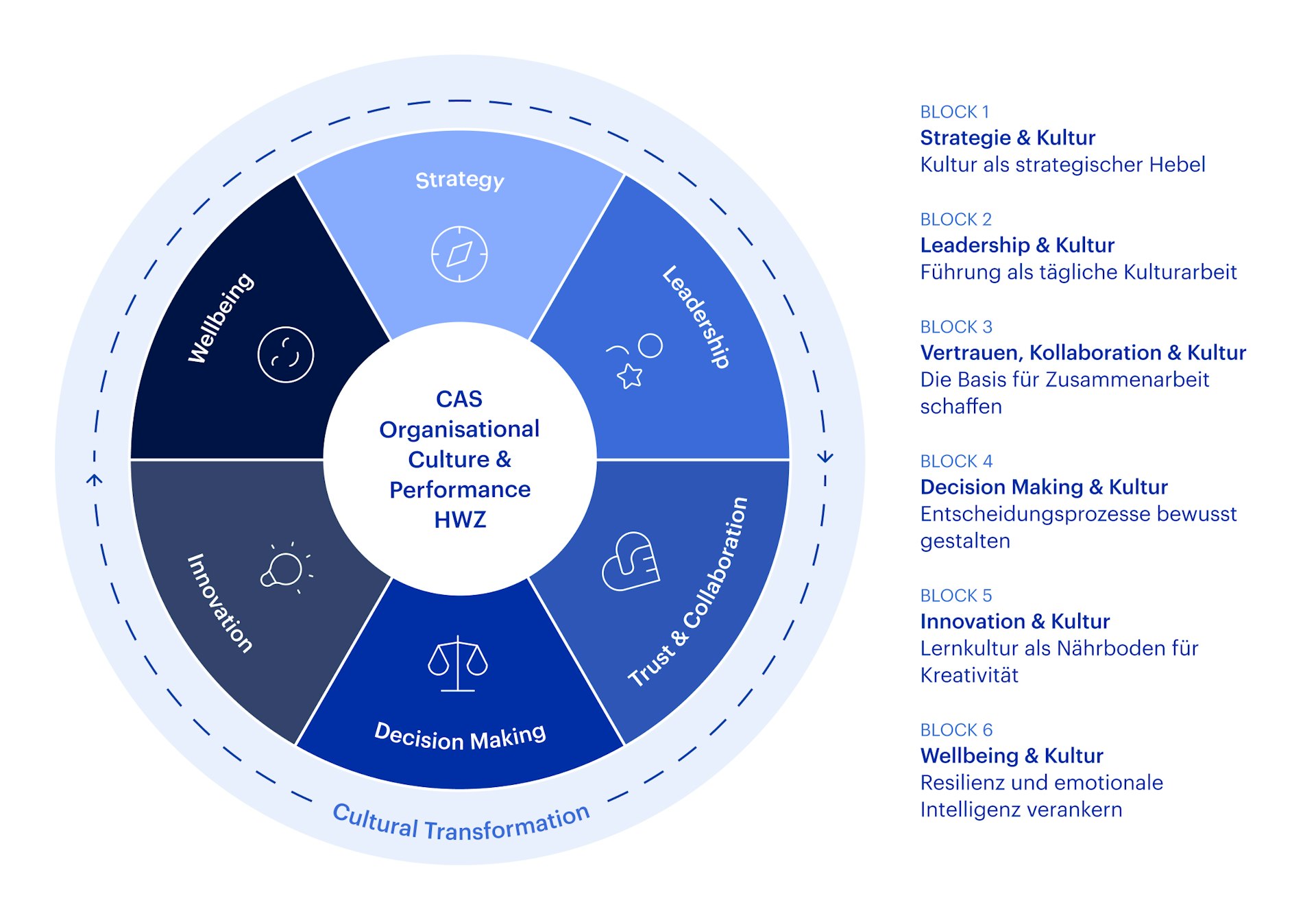Grafik – Aufbau CAS Organisational Culture & Performance HWZ