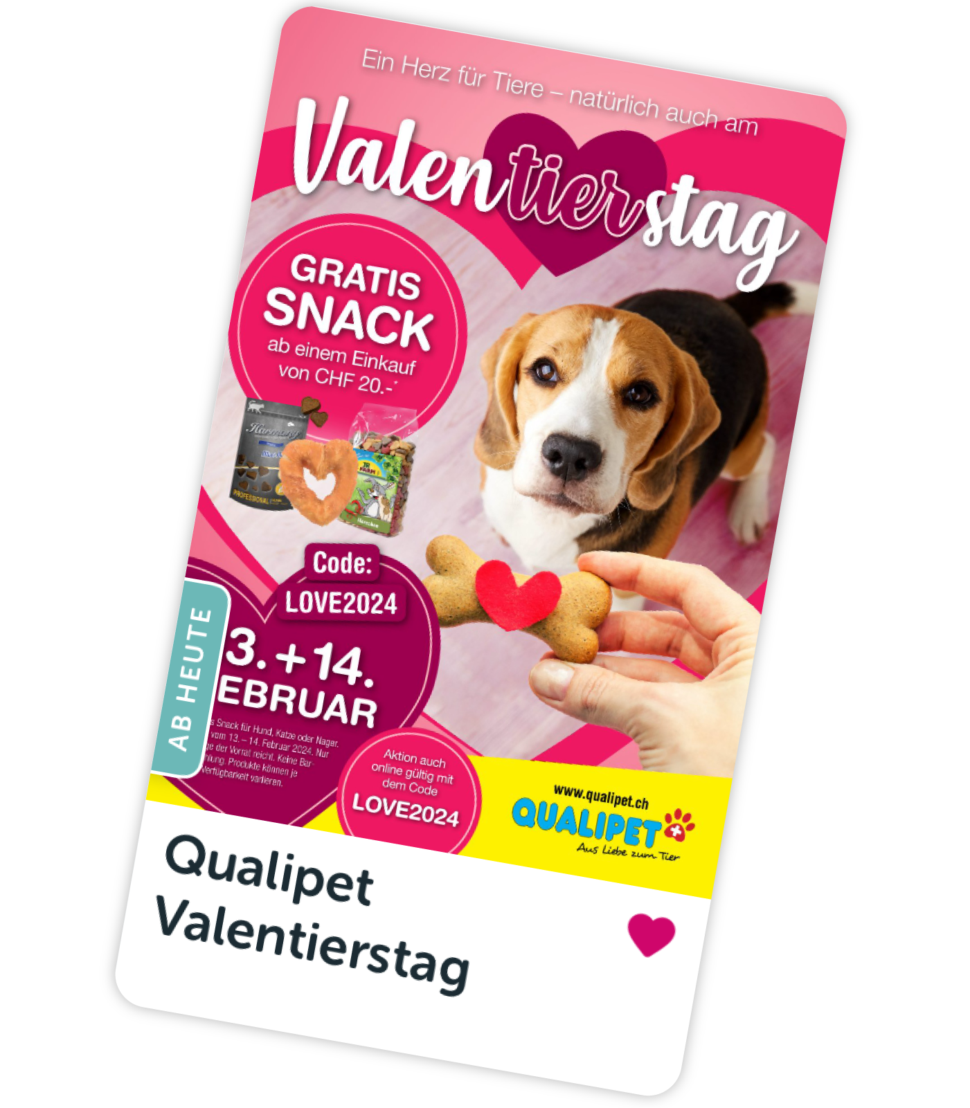 Werbeflyer für Qualipet Valentinstag mit einem Beagle-Hund, herzförmigen Leckerlis, Snack-Angebot und Veranstaltungsterminen am 3. und 14. Februar.