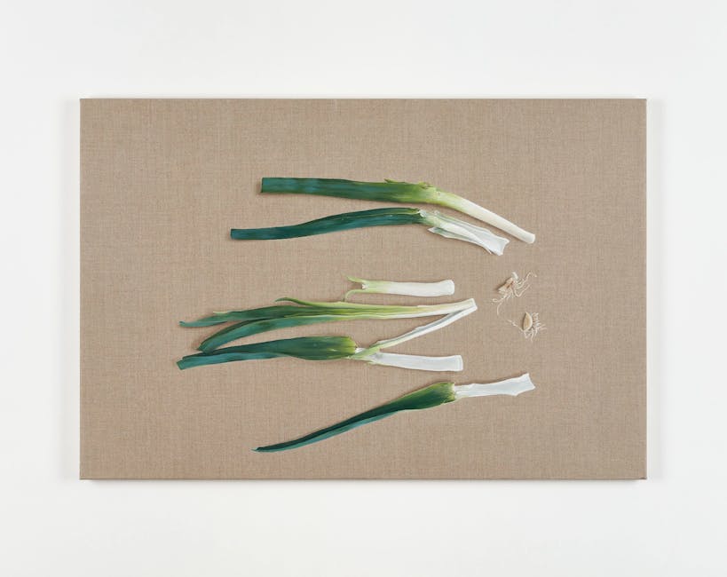 Helene Appel - Leek Helene Appel - Leek