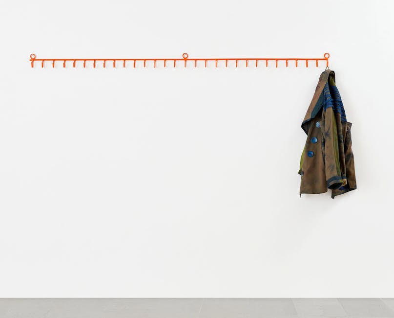 Ana Lupas - Coat to Borrow