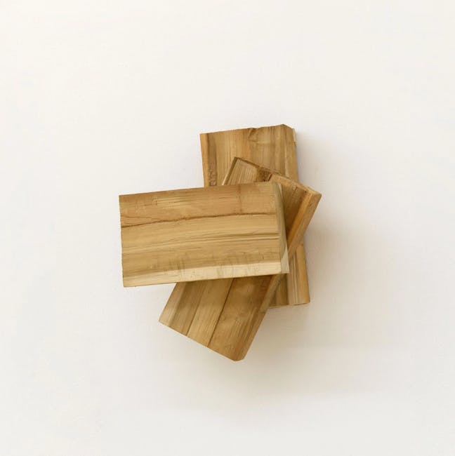Richard Nonas - Untitled