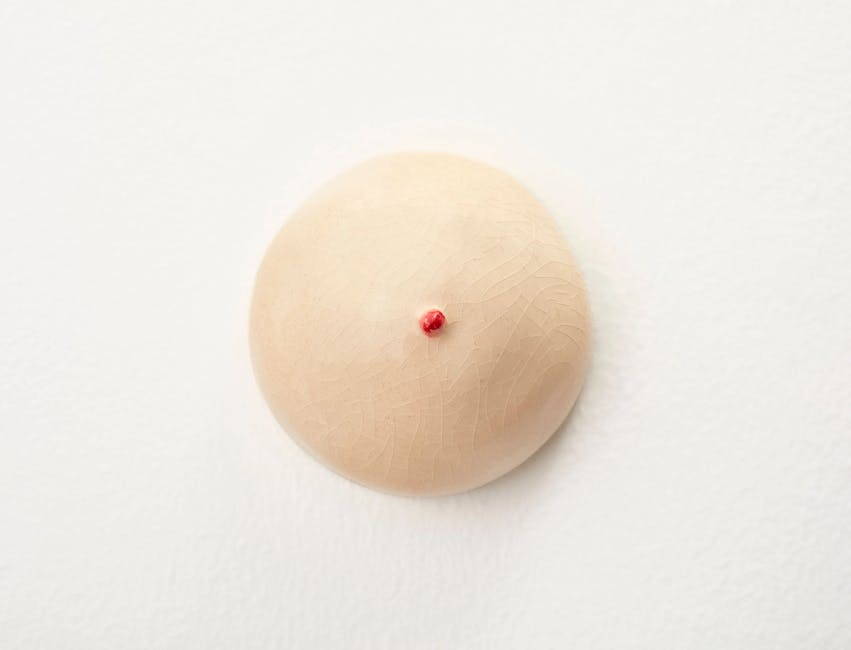 Shafei Xia - Crema