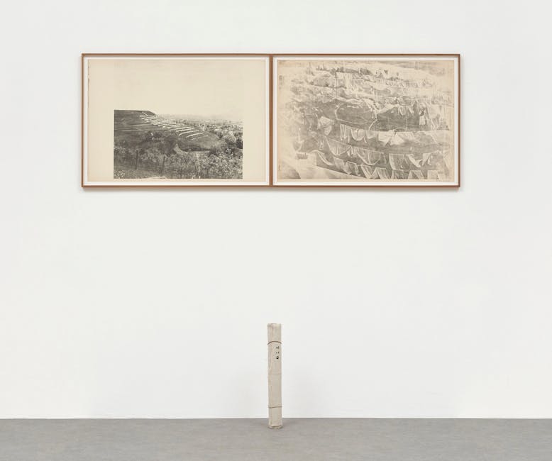 Ana Lupas - Humid Installation