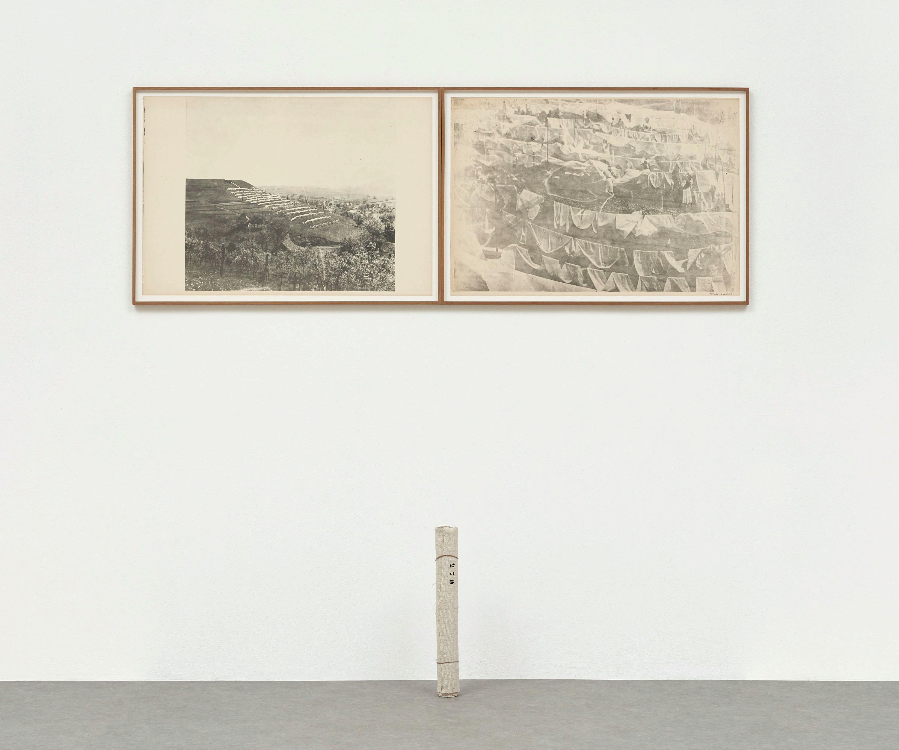 Ana Lupas - Humid Installation
