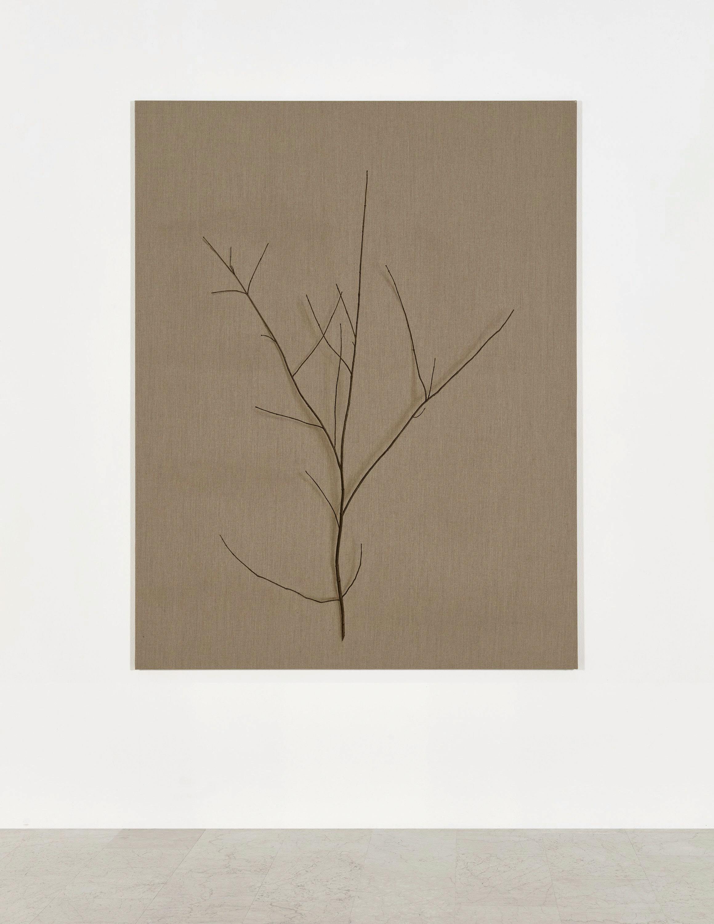 Helene Appel - Branch
