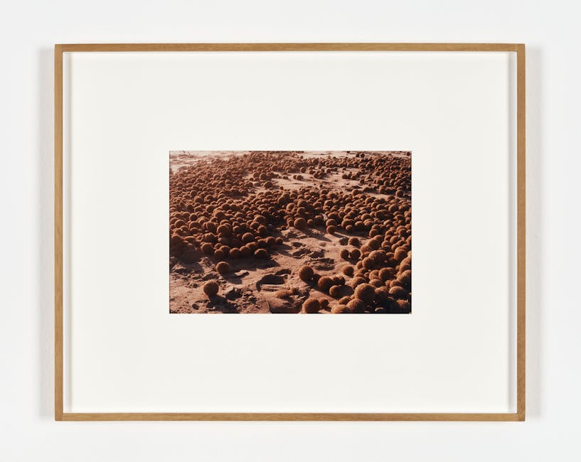 Alessandra Spranzi - Palle di mare sulla spiaggia di Oliva #2 (Esercizi) Alessandra Spranzi - Palle di mare sulla spiaggia di Oliva #2 (Esercizi)