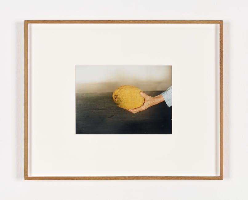 Alessandra Spranzi - La mano sinistra con cedro giallo (Esercizi)