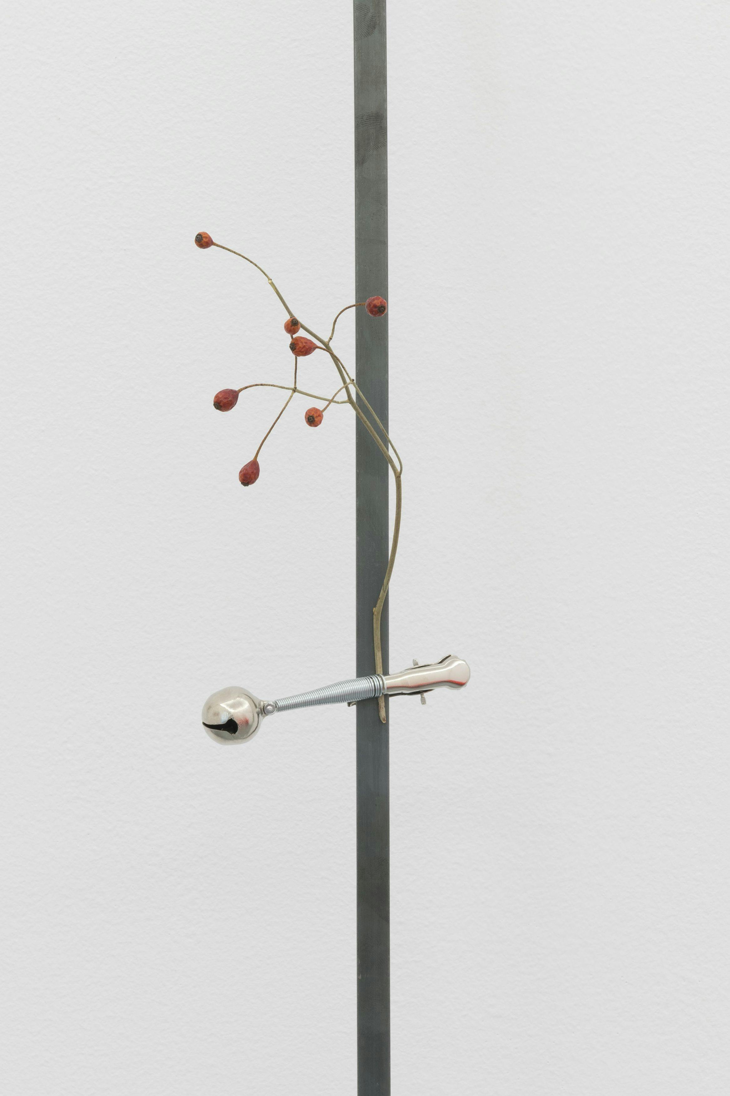 Riccardo Baruzzi - Giunco