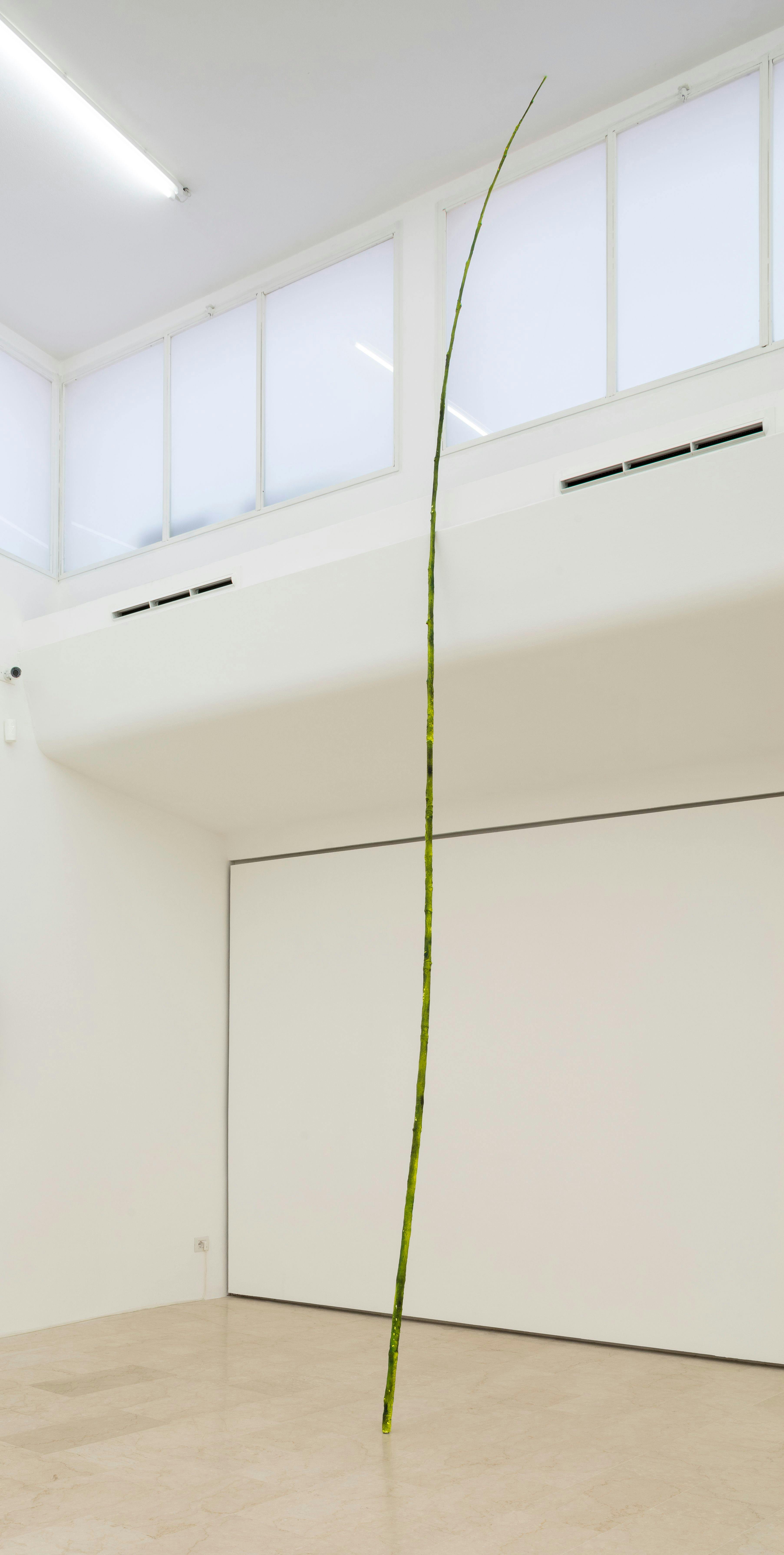 Filippo Tappi - Untitled