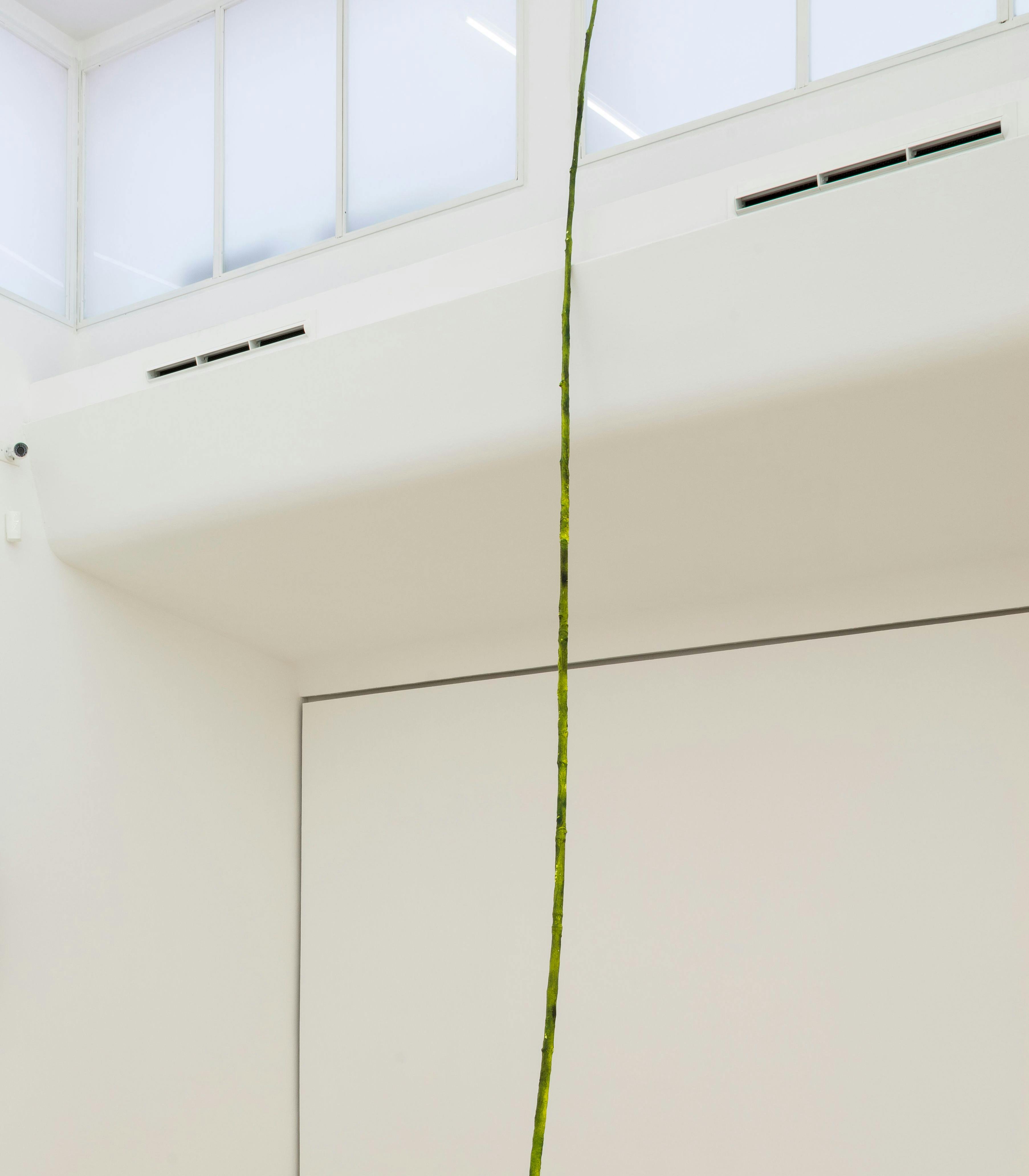 Filippo Tappi - Untitled Filippo Tappi - Untitled