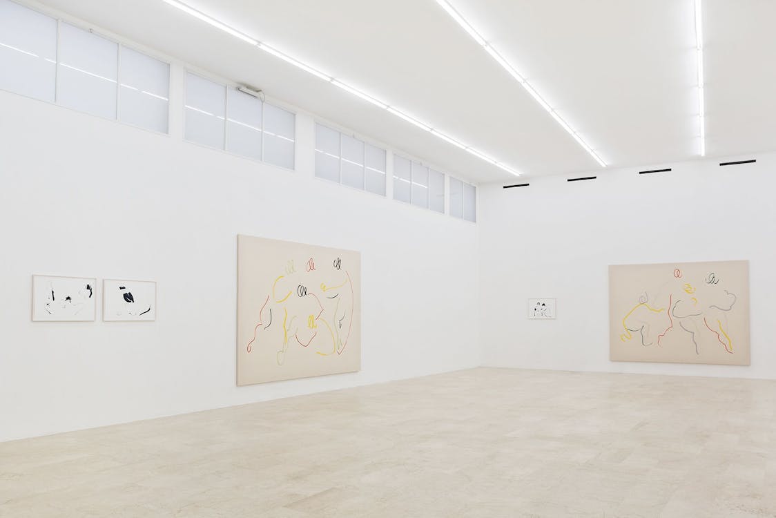 Del disegno disposto alla pittura