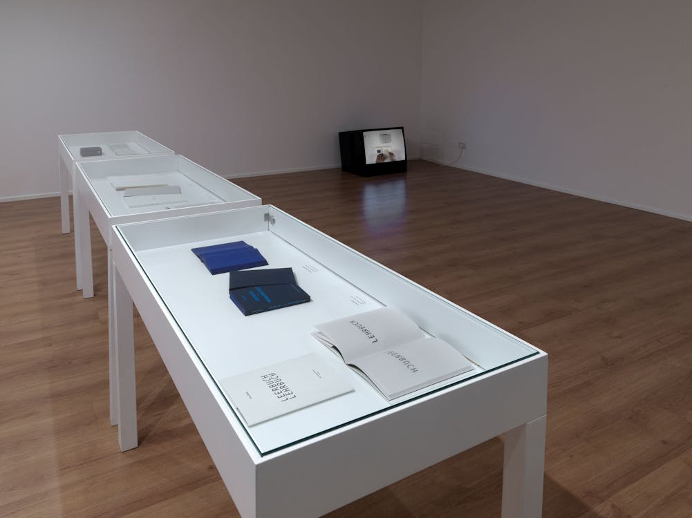 Artist’s books: editions and originals
