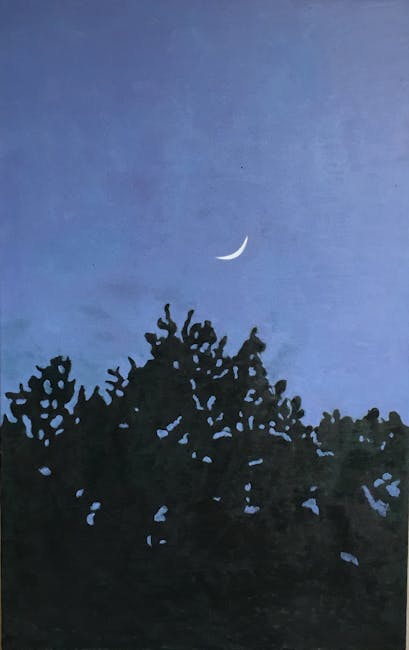 Chen Xue - Untitled