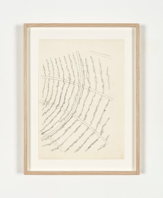 Ana Lupas - The Solemn Process, Preparatory drawing for wire mesh for wheat, 1964-1976