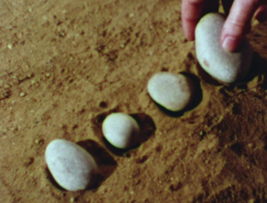 Laura Grisi - From One to Four Pebbles