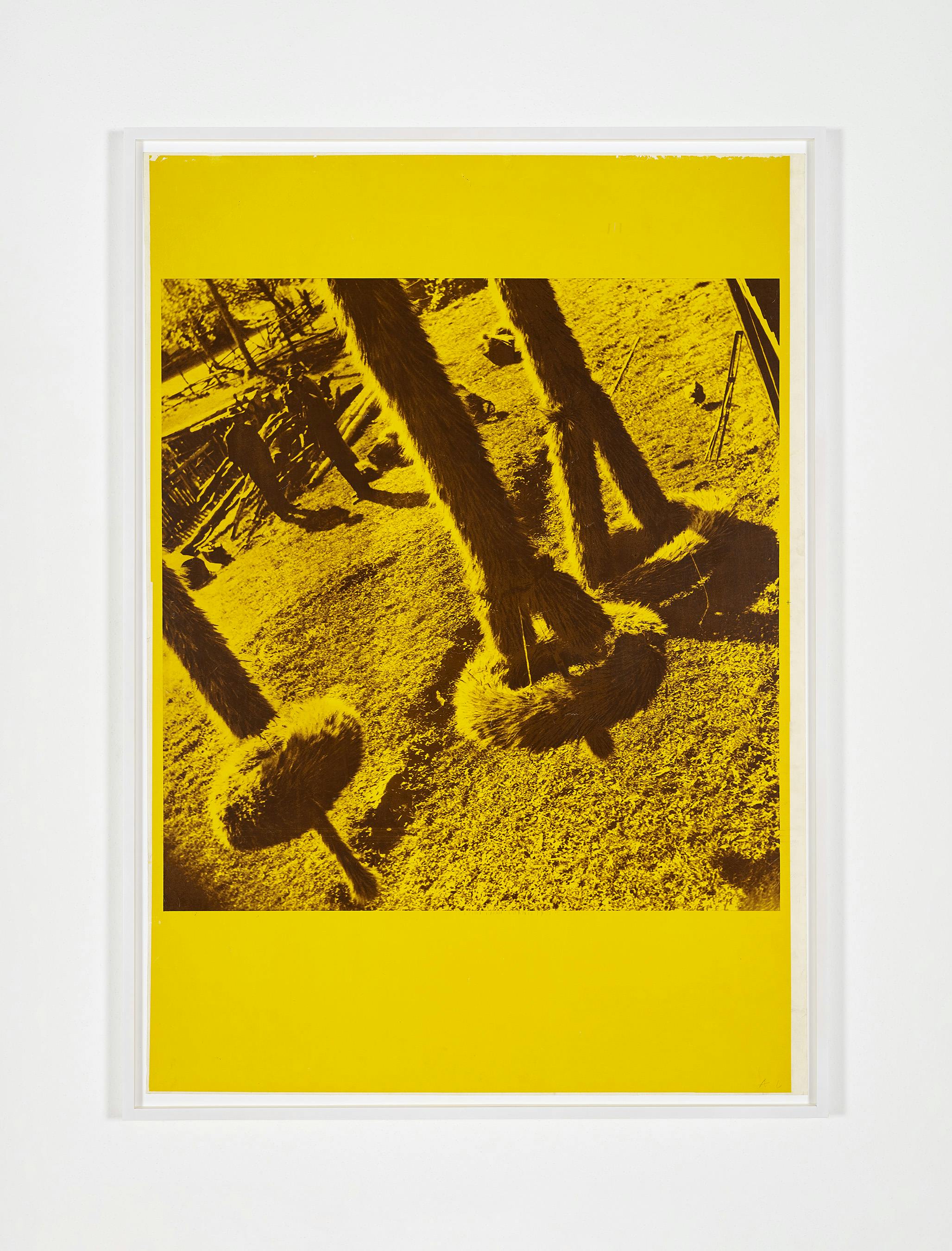 Ana Lupas - The Solemn Process