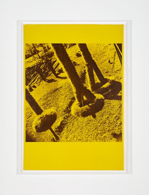 Ana Lupas - The Solemn Process
