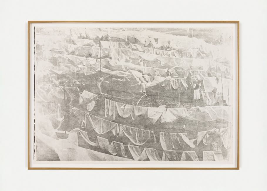 Ana Lupas - Humid Installation