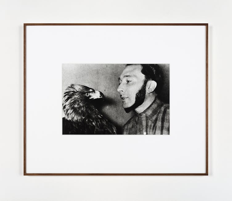 Alessandra Spranzi - L'ipnotizzatore di animali (l'insieme è nero)