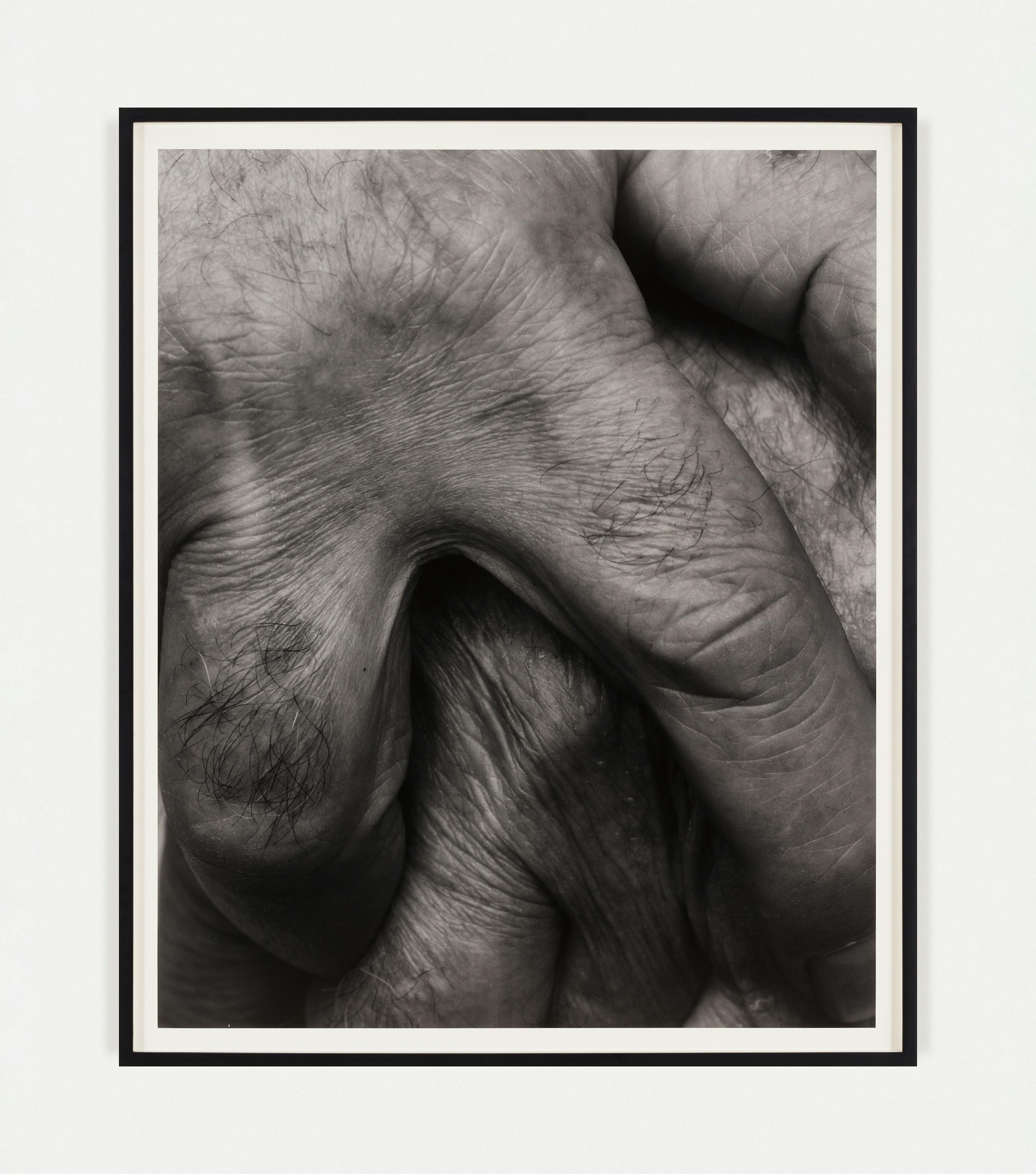 John Coplans - Interlocking Fingers, No. 14