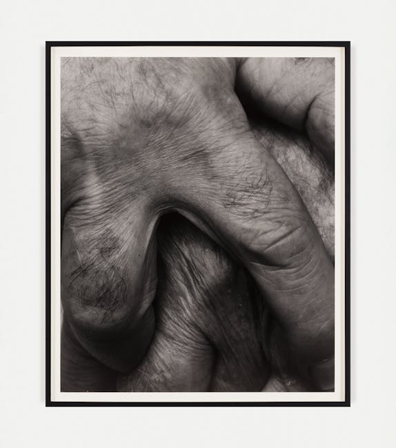 John Coplans - Interlocking Fingers, No. 14 John Coplans - Interlocking Fingers, No. 14