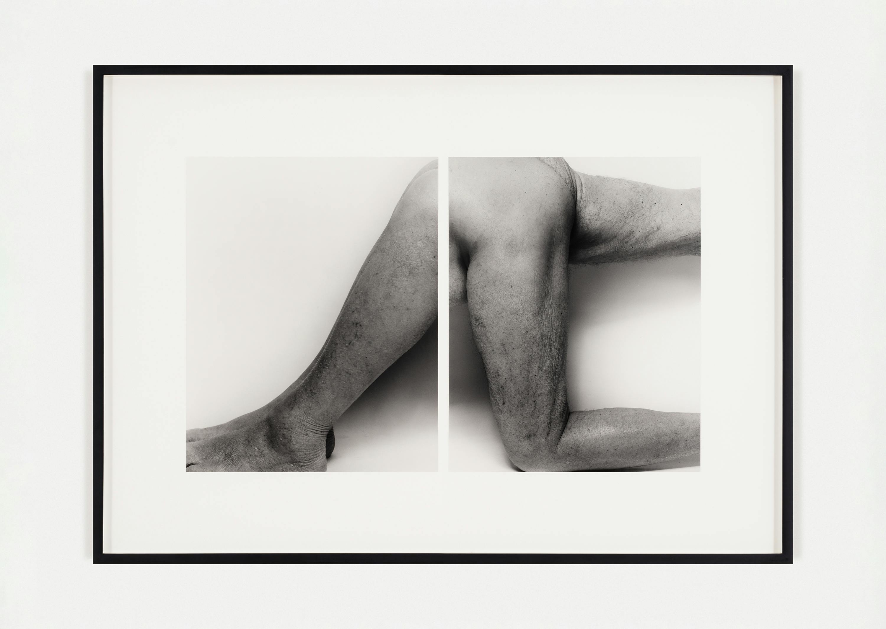 John Coplans - Body Parts, No 1