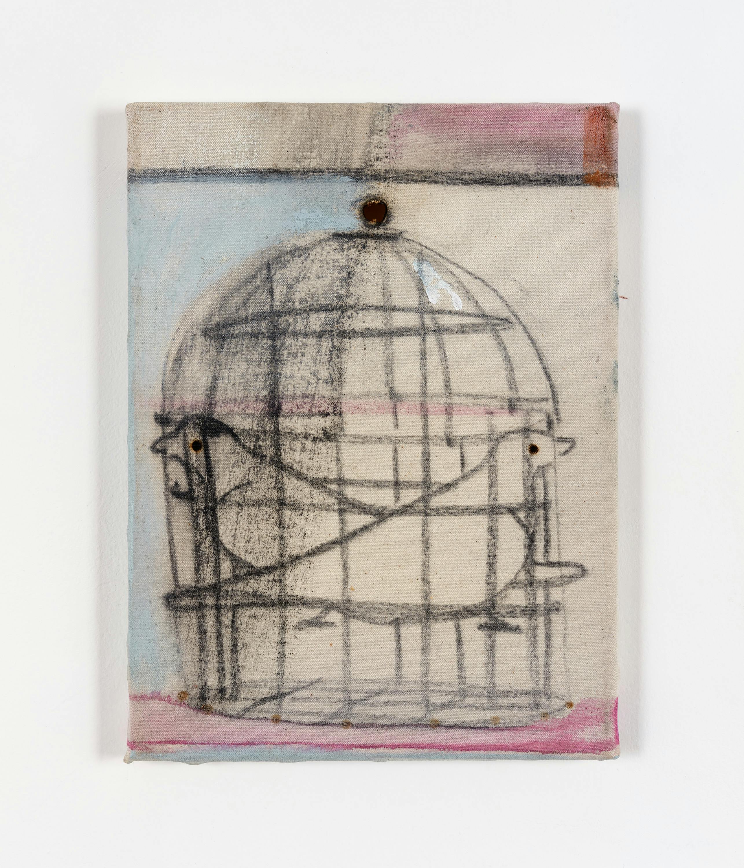 Merlin James - Birdcage