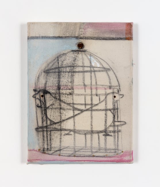 Merlin James - Birdcage