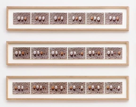 Laura Grisi - Pebbles