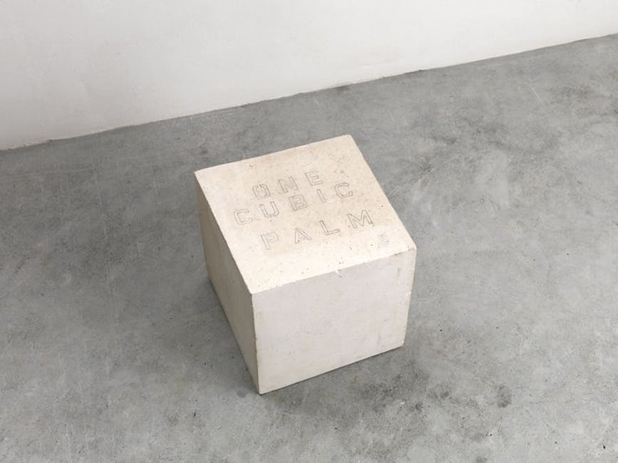 Paolo Icaro - One cubic palm