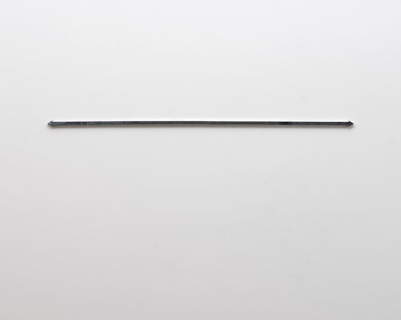 Paolo Icaro - Quota
